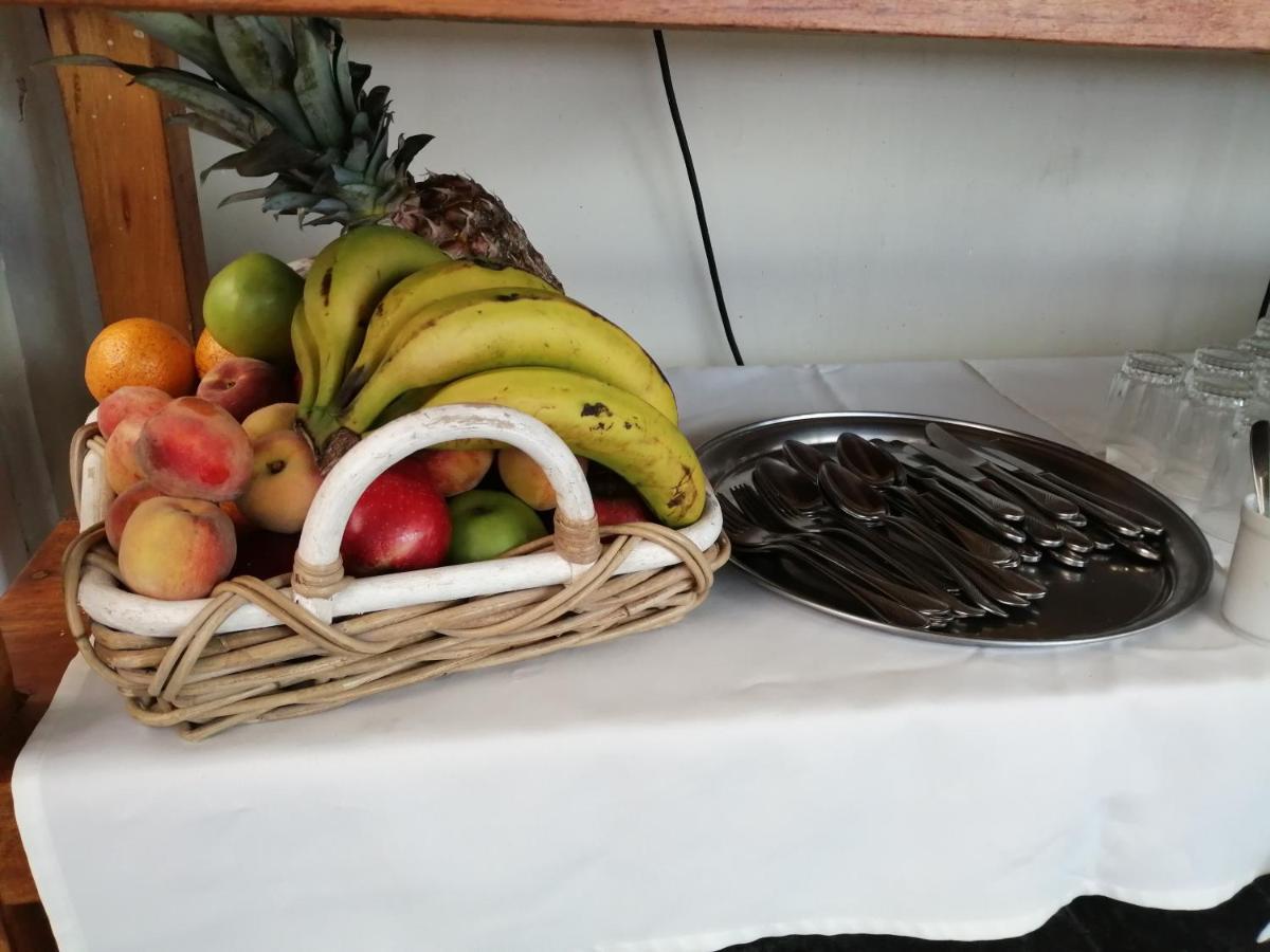 Casa Alevines Hostel & Suites Пунта-дель-Эсте Экстерьер фото